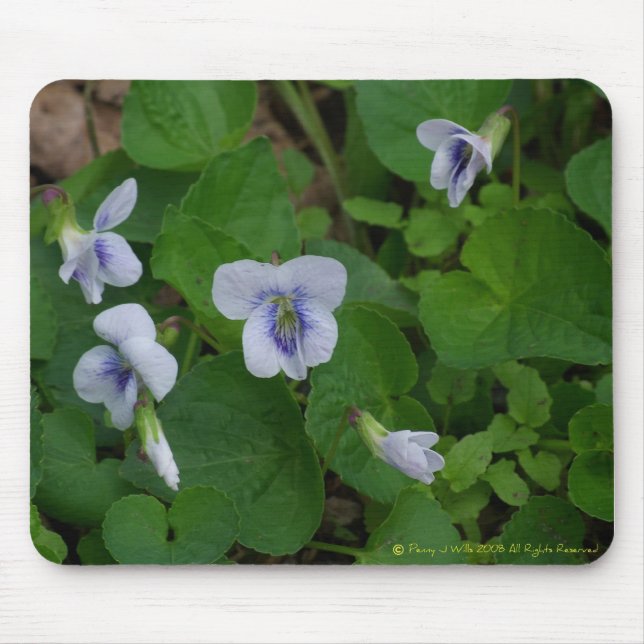 Wild Violet Mousepad (Front)
