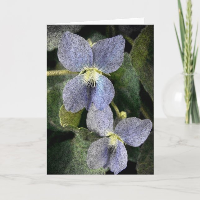Wild Violets Card (Front)