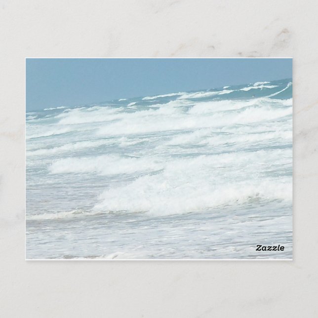 WILD WAVES OF DELRAY BEACH POSTCARD (Back)