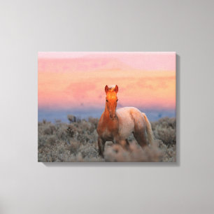 Wild West Colt Canvas Print
