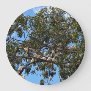 Wild White Australian Cockatoos, Large Clock