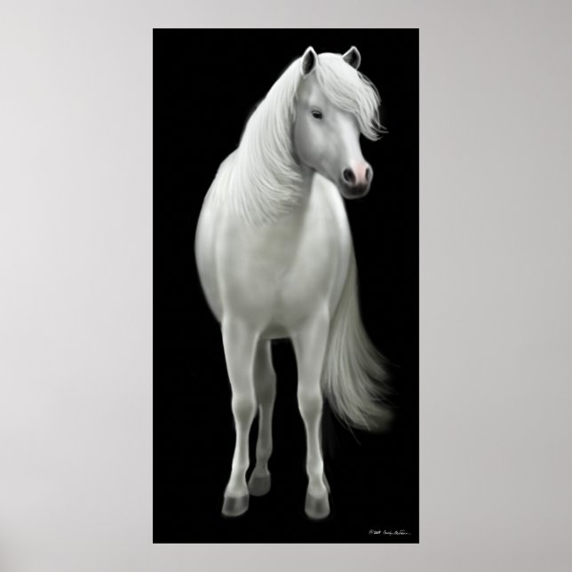 Wild White Horse Poster (Front)