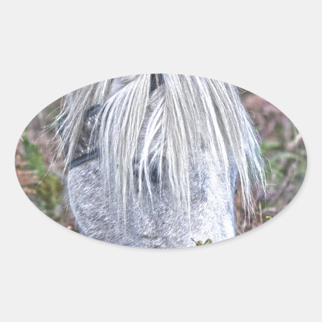 Wild White New Forest Pony Grazing on Bracken Oval Sticker (Front)
