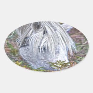 Wild White New Forest Pony Grazing on Bracken Oval Sticker