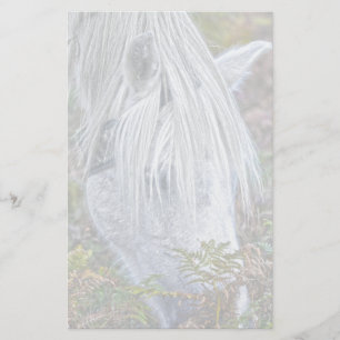 Wild White New Forest Pony Grazing on Bracken Stationery