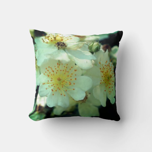 Wild White Rambling Roses Close Up  Cushion (Front)