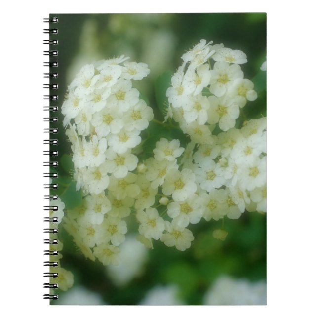 Wild White Rambling Roses Flower Nature Notebook (Front)