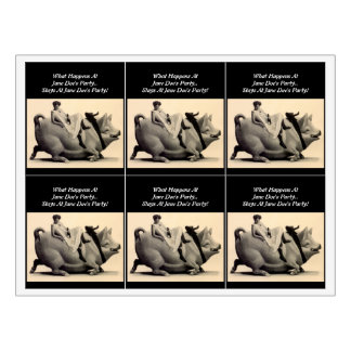 Wild Wine Ride The Pig Girls Night Out Wine Labels