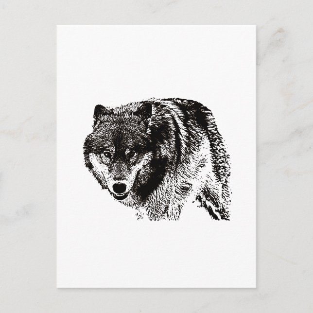 Wild Wolf Black & White Artwork Postcard (Front)
