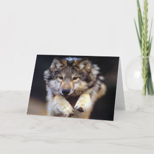 Wild Wolf Card