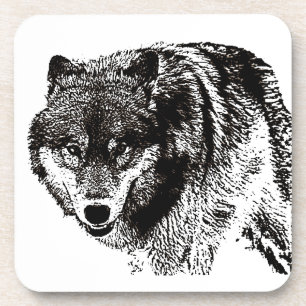 Wild Wolf Coaster