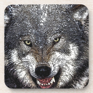 Wild Wolf Coaster