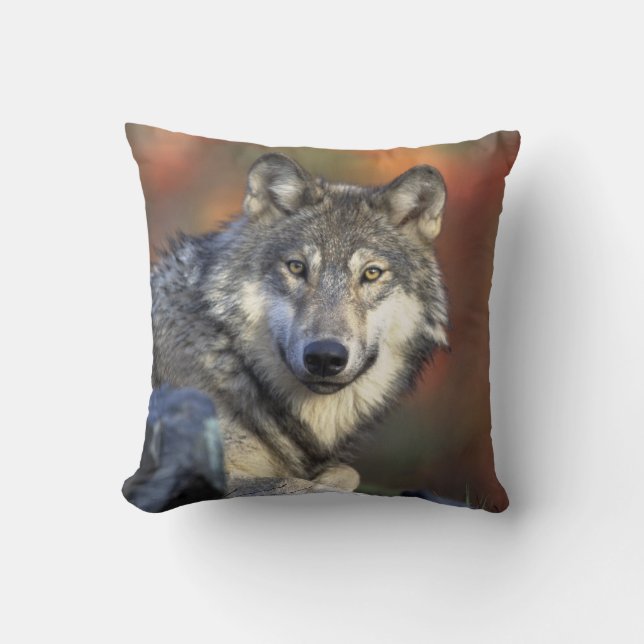 wild wolf cushion (Front)