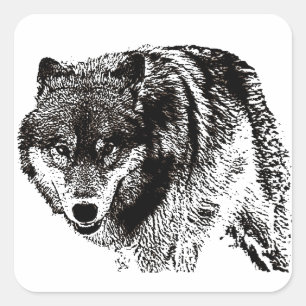 Wild Wolf Square Sticker