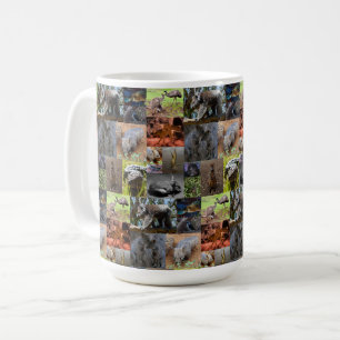 Wild Wonders: Captivating Australian Photo Collage Coffee Mug
