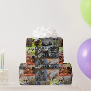 Wild Wonders: Captivating Australian Photo Collage Wrapping Paper