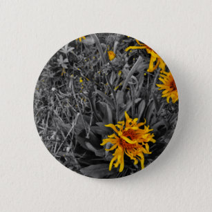 wild yellow cornflowers sepia tone , 6 cm round badge