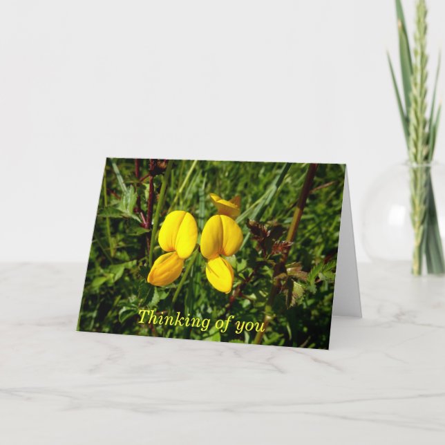 Wild yellow orchids card (Front)