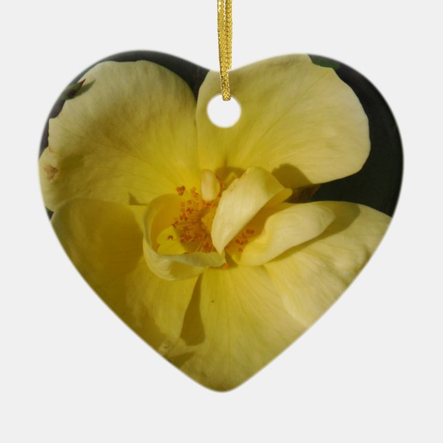 Wild Yellow Rose Ceramic Ornament (Front)