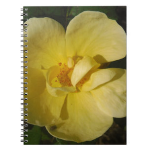 Wild Yellow Rose Notebook