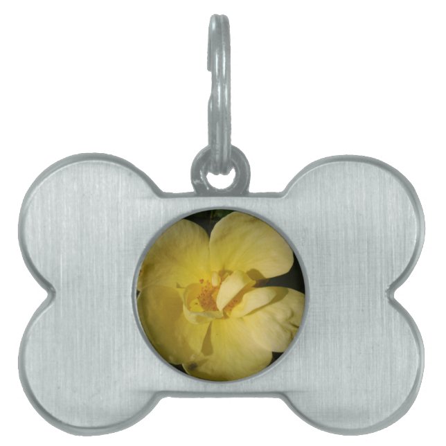 Wild Yellow Rose Pet Tag (Front)