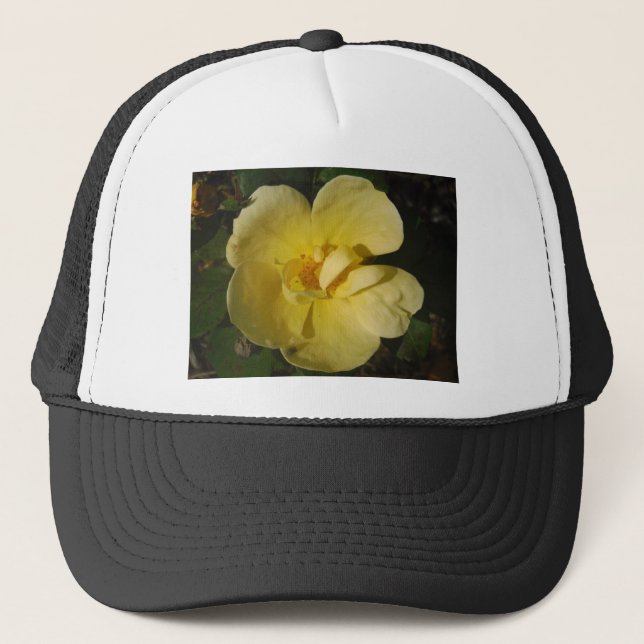 Wild Yellow Rose Trucker Hat (Front)