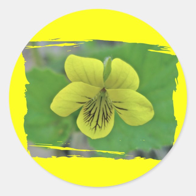 Wild Yellow Violet Coordinating Items Classic Round Sticker (Front)