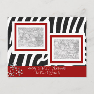 Wild ZEBRA Christmas Holiday Postcard
