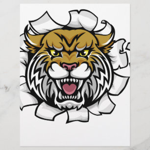 Wildcat Holding Cricket Ball Breaking Background