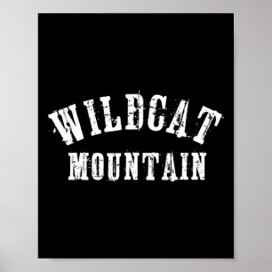 Wildcat Mountain Grungy Rustic Artisian Bold Skier Poster