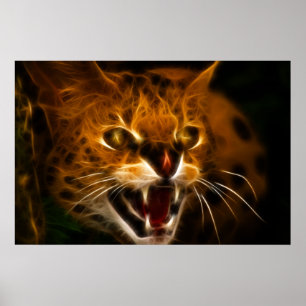 Wildcat Poster