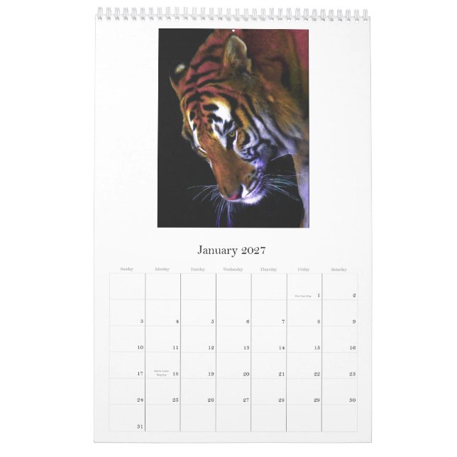 Wildcat, Wild Cats Calendar (Jan 2027)