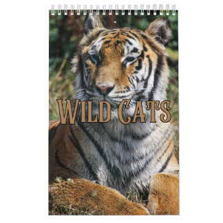 Wildcats Showcase Collection Wall Calendar