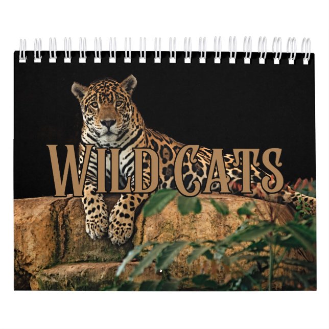 Wildcats Showcase Collection Wall Calendar (Cover)