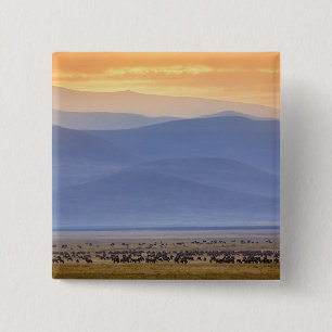 Wildebeest during migration, Connochaetes 15 Cm Square Badge