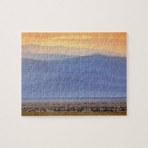 Wildebeest during migration, Connochaetes Jigsaw Puzzle