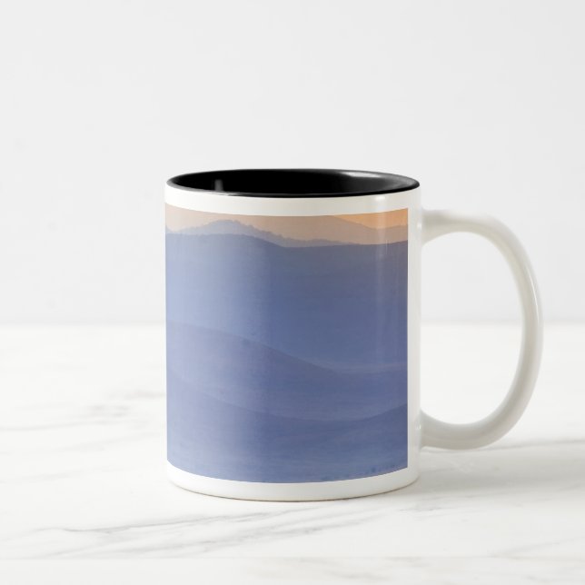 Wildebeest during migration, Connochaetes Two-Tone Coffee Mug (Right)