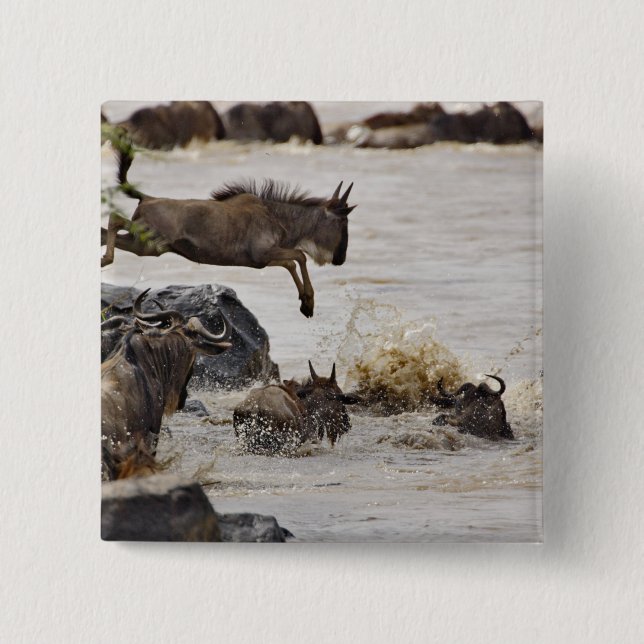 Wildebeest jumping into Mara River 15 Cm Square Badge (Front)