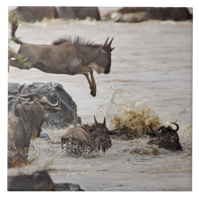Wildebeest jumping into Mara River Ceramic Tile (Front)