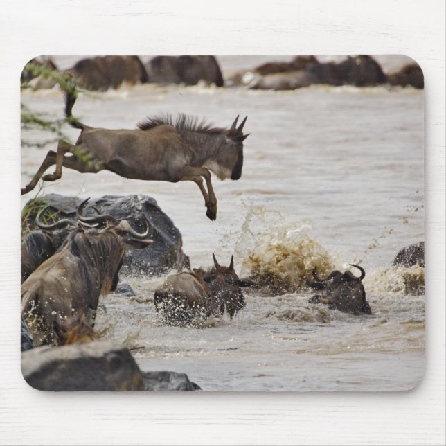 Wildebeest jumping into Mara River Mouse Pad (Front)