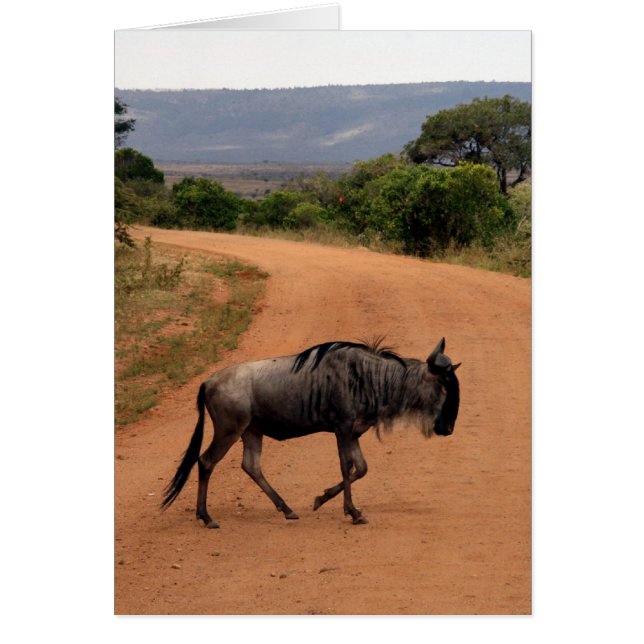 wildebeest road (Front)