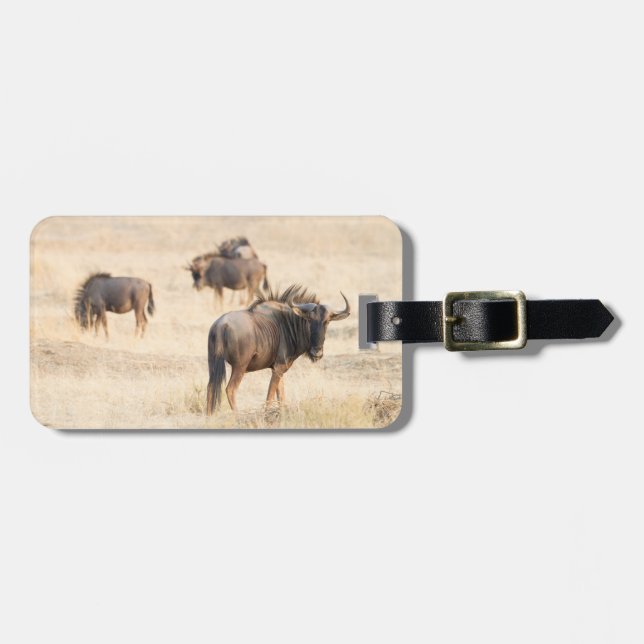 Wildebeest wildlife photography Africa Safari Luggage Tag (Front Horizontal)