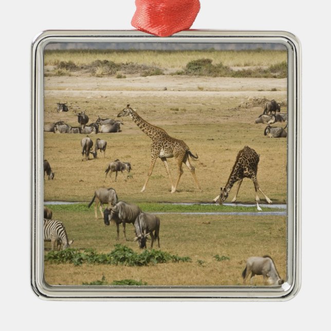 Wildebeests, Zebras and Giraffes Metal Ornament (Front)