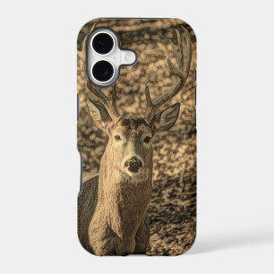 wilderness Camouflage outdoorsman whitetail deer