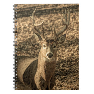 wilderness Camouflage outdoorsman whitetail deer Notebook