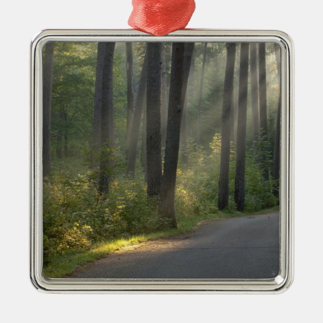 Wilderness Drive, Itasca State Park, Metal Tree Decoration (Front)