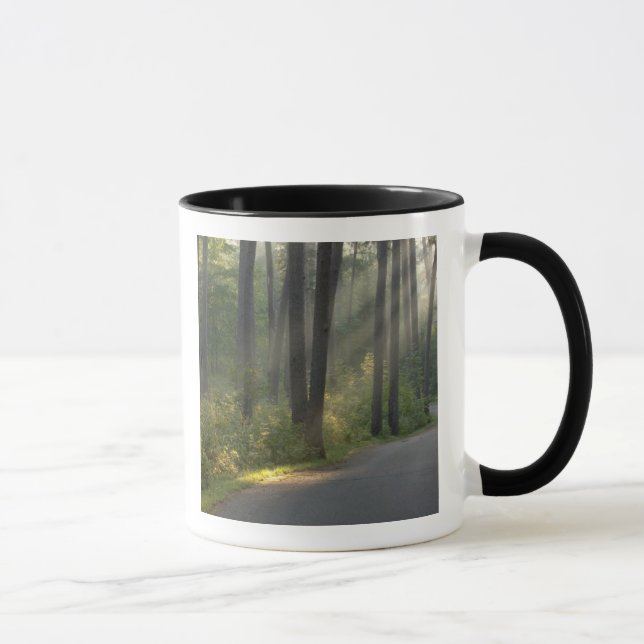 Wilderness Drive, Itasca State Park, Mug (Right)