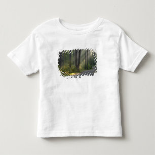 Wilderness Drive, Itasca State Park, Toddler T-Shirt