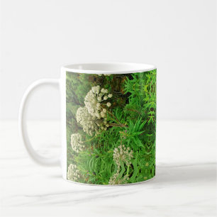 Wilderness, Nature, Plants Photography Mug