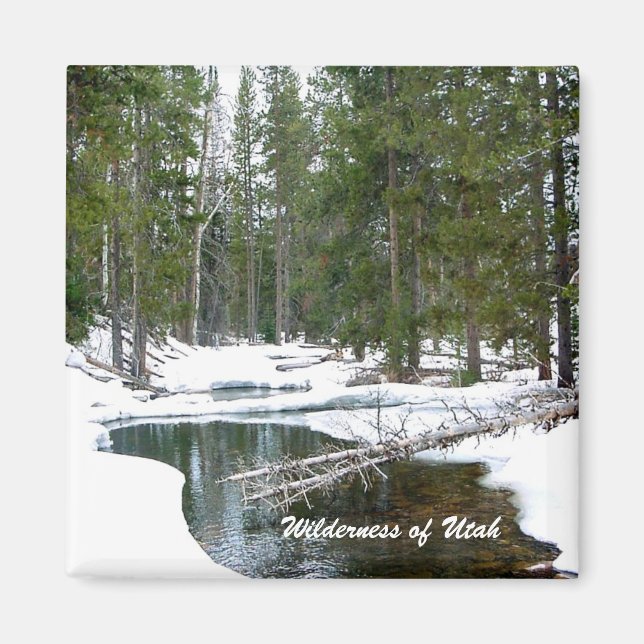 Wilderness of Utah Magnet (Front)